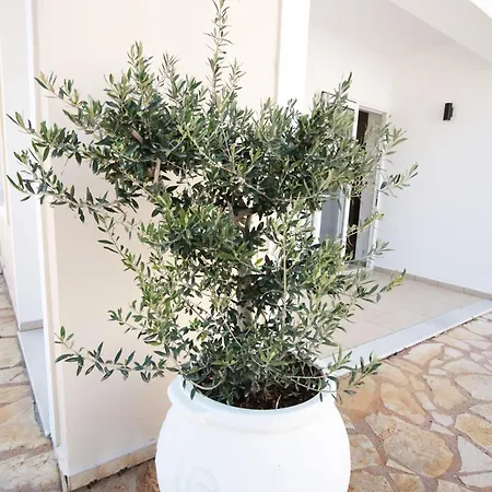 Отель La Skalavista Ex Big Village Skala (Kefalonia)