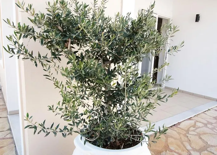 Hotel La Skalavista Skala (Kefalonia)